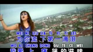 DI YI DI LEI 第一滴泪  Huang Jia Jia 黄佳佳 [upl. by Graig]