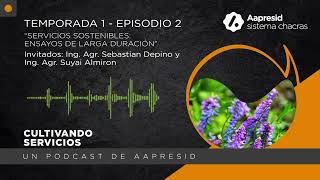 Servicios sostenibles ensayos de larga duración [upl. by Gazzo]