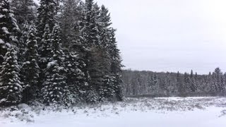 Winter Camping  January  Algonquin Park [upl. by Etz721]