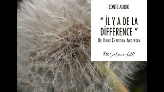 ● İL Y A DE LA DİFFÉRENCE de HC Andersen ● CONTE AUDIO par Valérie All1 [upl. by Gauthier]