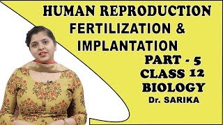 Human Reproduction  Fertilization And Implantation  Class 12 Biology  iWiz Sarika [upl. by Kellene]