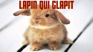 LAPIN qui glapit Le CRI du LAPIN [upl. by Ultan]