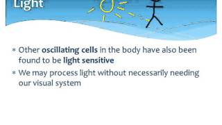 Biopsychology Biological Rhythms  Exogenous zeitgebers [upl. by Baylor821]