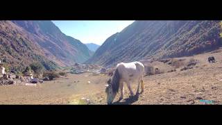 22 days Manaslu Circuit and Tsum Valley Trek  Magical Nepal [upl. by Elreath848]