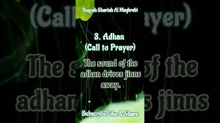 What Jinn Hate Protect Yourself with Ruqyah Shariah [upl. by Bound]