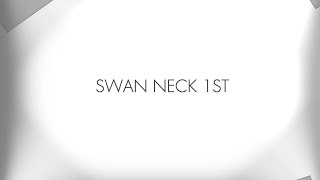 SWAN NECK 1st [upl. by Rudolph892]