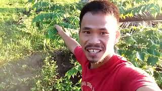 PAG MULAT SA UMAGA  Sarangan Vlogger [upl. by Roda682]