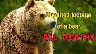 Unedited Footage of a Bear 2014 ALL DEATHS [upl. by Namilus700]