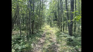 5313 W Miller Road 5294 ACRES Lewiston MI  201829821 [upl. by Osmond69]