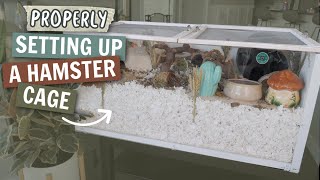 How to PROPERLY Set up a Hamster cage [upl. by Melva]