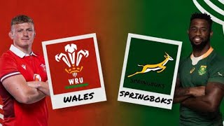 South Africa vs Wales 2023 [upl. by Elvin]