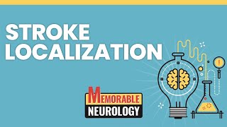 Stroke Localization Made Easy with Mnemonics Memorable Neurology Lecture 14 [upl. by Shantha]