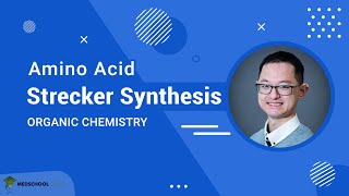 Strecker Synthesis of Amino Acids  MCAT Organic Chemistry Prep [upl. by Aham]