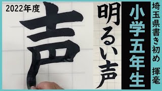 埼玉県書き初め課題書いてみました！小学5年生編【書き初め】【埼玉県】【小5】 [upl. by Esoryram742]