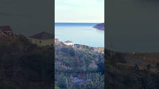 View from Post Taphouse deck Torbay NL newfoundland [upl. by Lilhak]