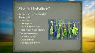 Introduction to Herbalism  The Foundation of Understanding Plants [upl. by Laira]