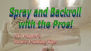 Spray and Backroll with the Pros  Interior Painting [upl. by Anilatak]