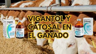 Vitaminas para mejorar la producción en el ganado 🐂🐑🌱🤠 [upl. by Ettezel]