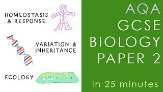 All of AQA BIOLOGY Paper 2 in 25 minutes  GCSE Science Revision [upl. by Viola]