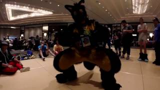 AC2016  Ignition Dancing to Ignition [upl. by Foy549]