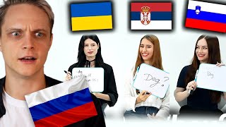 RUSSIAN TRIES TO UNDERSTAND SLAVIC LANGUAGES POLISH UKRAINIAN SLOVENIAN AND SERBIAN [upl. by Brunk799]