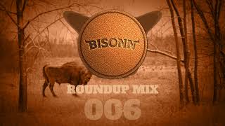 Bisonn Roundup Mix 006 Bass House  Tech House [upl. by Eninahpets]