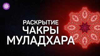 Разблокировка корневой чакры Муладхара Исцеляющая медитация [upl. by Airdnazxela300]