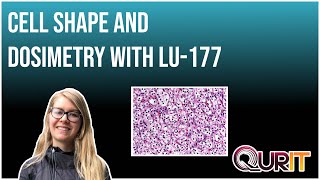 The impact of cell shape on the doses delivered to the nucleus from 177Lu labelled radiotracers [upl. by Ulises]