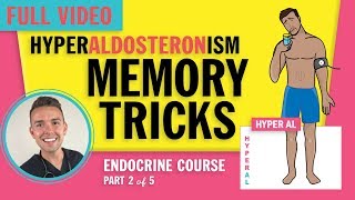 Endocrine  Hyperaldosteronism for NCLEX [upl. by Arber829]