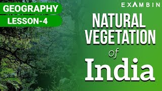 Natural Vegetation of India I Natural vegetation of INDIA UPSCIAS [upl. by Werdma]