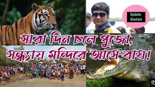 সুন্দরবনে বাঘের জঙ্গলে বনবিবি পুজো। Banbibi pujo in tiger forest UpdateGoutam [upl. by Lednyk862]