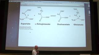 10 Kevin Aherns Biochemistry  Enzymes II [upl. by Annirok]