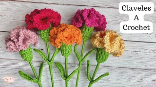 Tutorial Claveles tejidos a Crochet Fácil💜Mayelin Ros [upl. by Michell]