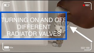 How to Repair a Thermostatic Radiator Valve TRV not working with TRV pin stuck [upl. by Alston]