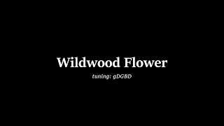 quotWildwood Flowerquot  thumb lead twofinger banjo [upl. by Haberman688]