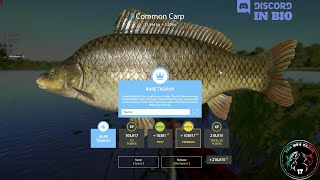 The Amber Lake spot Rare Trophy Common Carp  27  Russian Fishing 4  RF4 [upl. by Dorie]