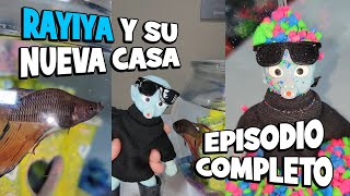 🐠 RAYITA y su NUEVA PECERA Episodio COMPLETO 😎 funny rayita viral animales beta humor [upl. by Debra358]