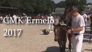 Jubileum Centrale Merriekeuring New Forest Pony 2017 [upl. by Nedgo]