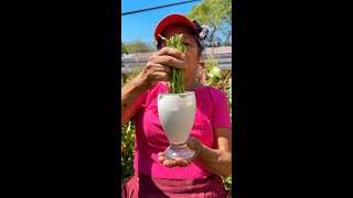 EL mejor CICATRIZANTE Y ENRAIZANTE para tus plantas LA CAL  ENRAIZANTE casero para CACTUS y FLORES [upl. by Jacki916]