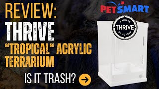 Review Petsmart Thrive quotTropicalquot Acrylic Terrarium [upl. by Mcneely]