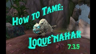 How to Tame Loquenahak Hunter Spirit Beast Patch 735  WoW [upl. by Eceer572]