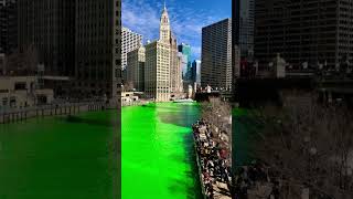 CHICAGO Green River Dyeing on St Patrick’s Day travel chicago saintpatricksday [upl. by Enrobialc]