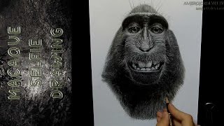 Macaque Selfie Drawing Portrait [upl. by Coonan536]