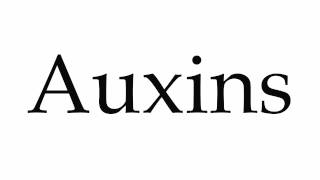 How to Pronounce Auxins [upl. by Anirav947]