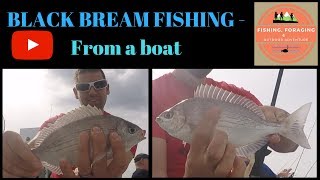 CATCHING BLACK BREAM  Charter boat fishing on ultra light tackle [upl. by Enrol]