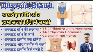 Thyroid Gland in hindi  Thyroid Hormones  T3  T4  Thyroxin Hormones  Thyroid Profile Test [upl. by Anegroeg]