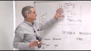 10 Fisiología  Equilibrio de Gibbs Donnan Parte II [upl. by Rasla]