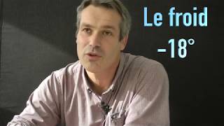 questions à un expert  la punaise de lit [upl. by Ellecrag350]