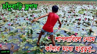 শাপলাবিলে হাবুডুবু  চাঁদুবাড়ি ভ্লগ ২৯ [upl. by Negaet]