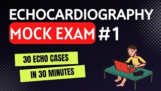 Echocardiographic Assessment of LV Diastolic Function Webinar [upl. by Yankee]